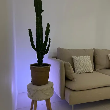 Appartamento 2p Entierement Renove , Piscine , 1 Km De La *